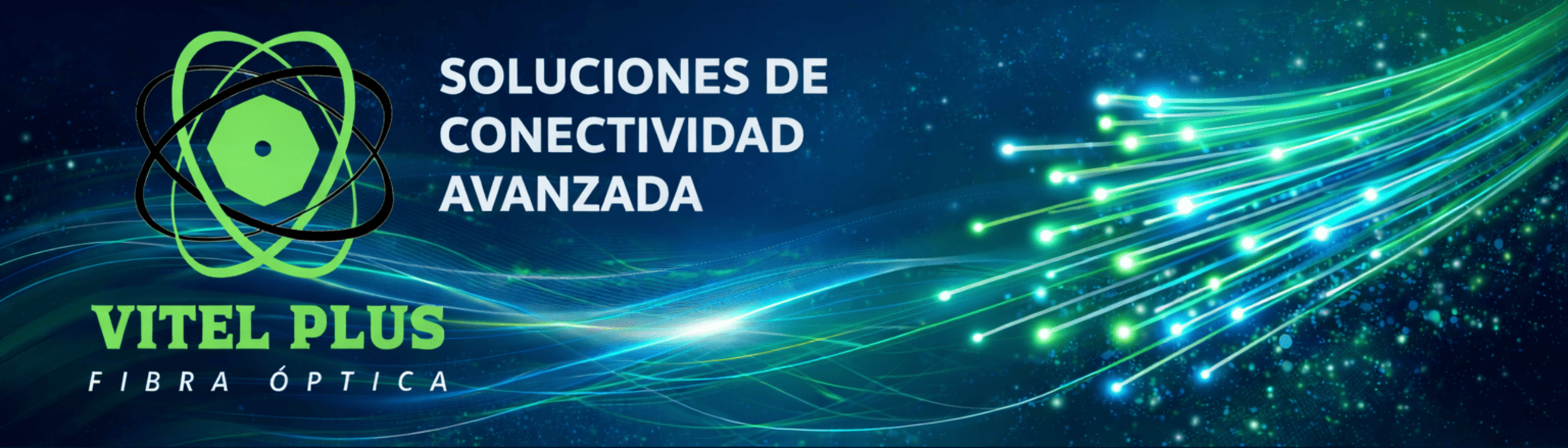 banner_vitelplus